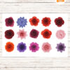 15 Rolled Paper Flower Templates, SVG & DXF Cut Files for Cricut and Silhouette