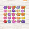 82 Rolled Flower SVG Bundle, 3D Paper Flowers for Cricut & Silhouette