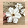 Blossom Paper Flower SVG Cut File, Spring & Summer Floral Decoration for Cricut & Silhouette