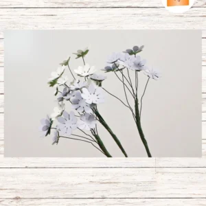 Paper Gypsophila Flower SVG Template, DIY Baby’s Breath Bouquet Filler